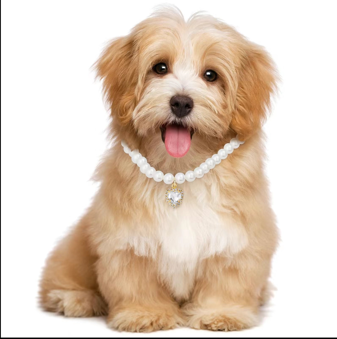 π Pearl Cat Necklace β Adjustable, Lightweight & Stylish Summer Collar