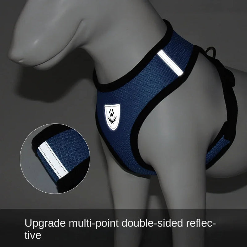 ๐พ Adjustable Mesh Pet Harness & Leash Set