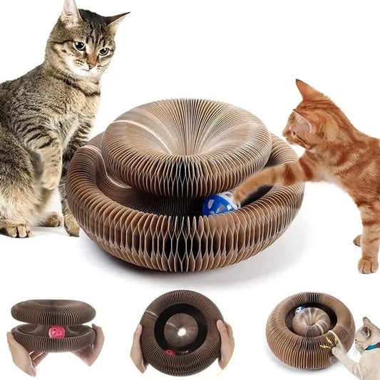🐾 Why Corrugated Cat Scratch Toys Make the Best Gifts for Kittens