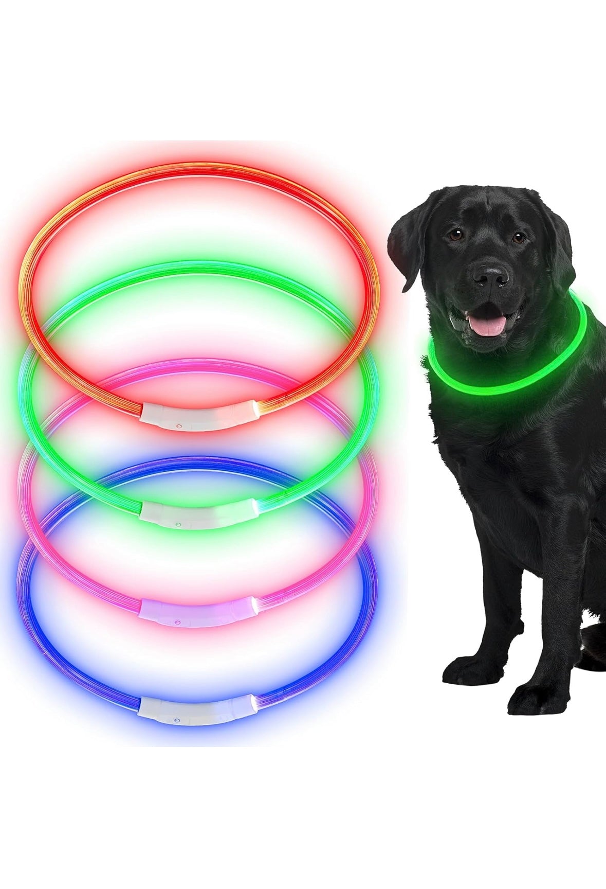 🐶 LED Dog Collar – USB Rechargeable, Waterproof & Adjustable