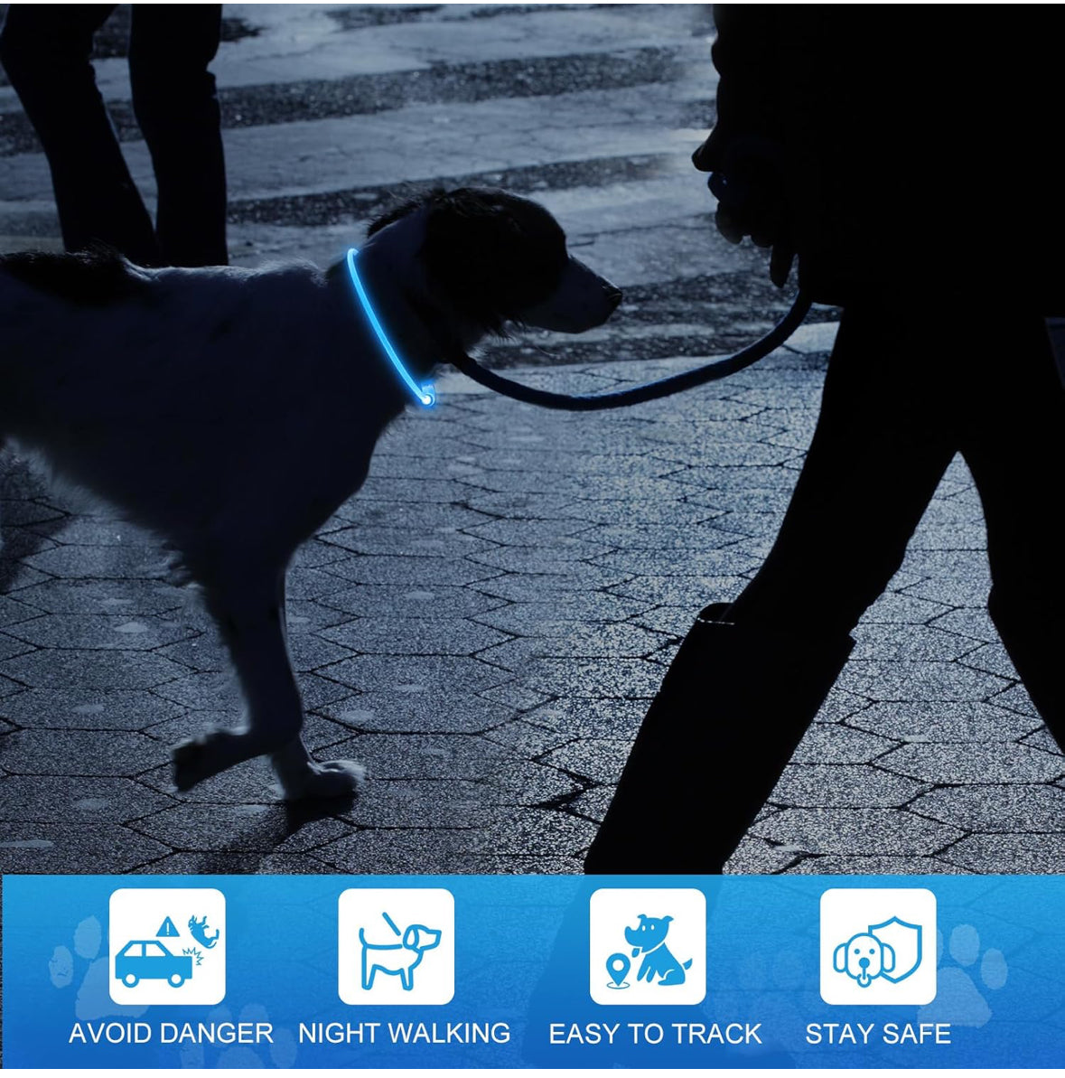 🐶 LED Dog Collar – USB Rechargeable, Waterproof & Adjustable
