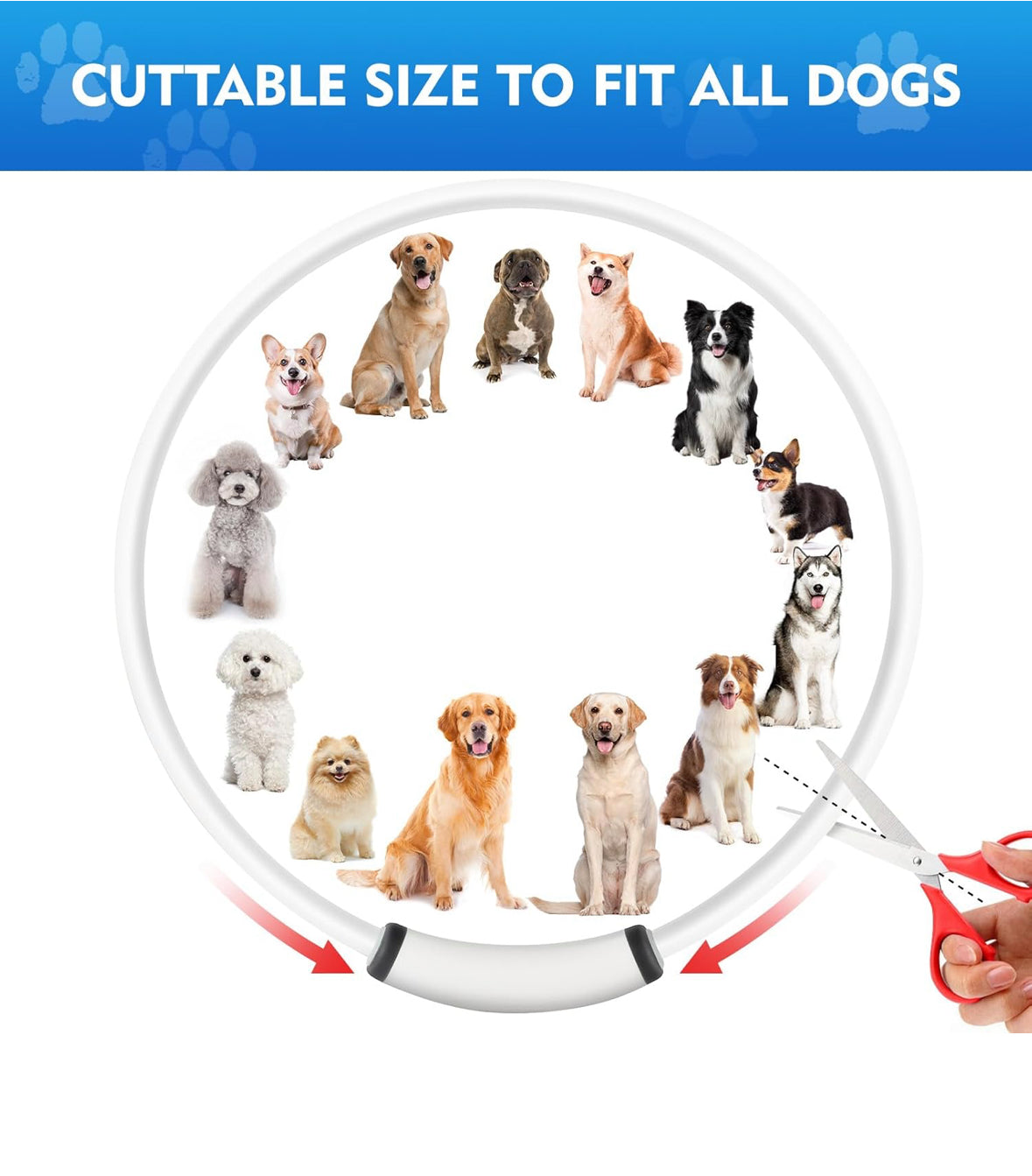 🐶 LED Dog Collar – USB Rechargeable, Waterproof & Adjustable