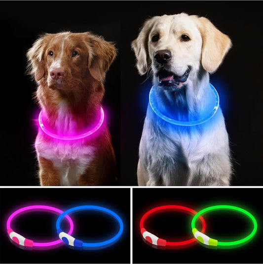 🐶 LED Dog Collar – USB Rechargeable, Waterproof & Adjustable