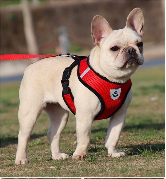 🐾 Adjustable Mesh Pet Harness & Leash Set