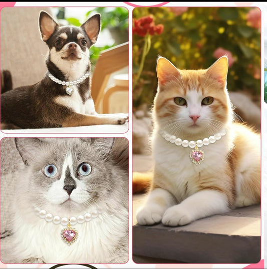 👑 Pearl Cat Necklace – Adjustable, Lightweight & Stylish Summer Collar