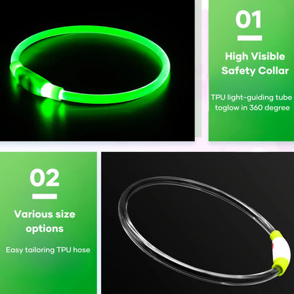 🐶 LED Dog Collar – USB Rechargeable, Waterproof & Adjustable