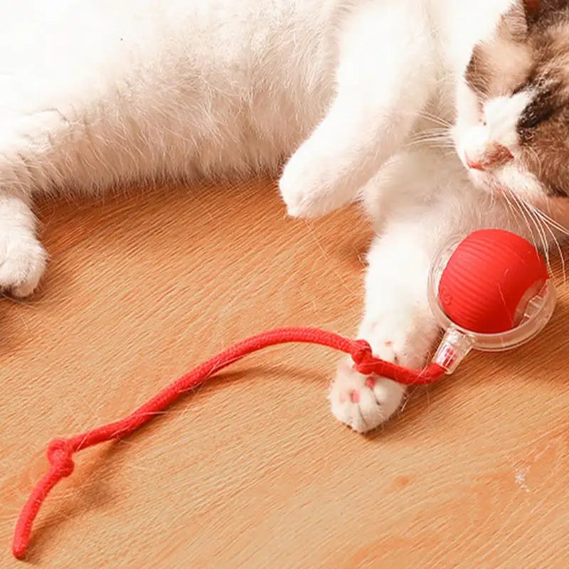 🐾 Fury Tail Cat Motion Ball – Rechargeable, Smart & Reflex-Boosting Toy