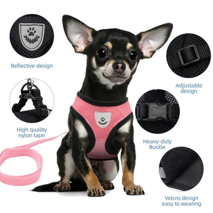🐾 Adjustable Mesh Pet Harness & Leash Set