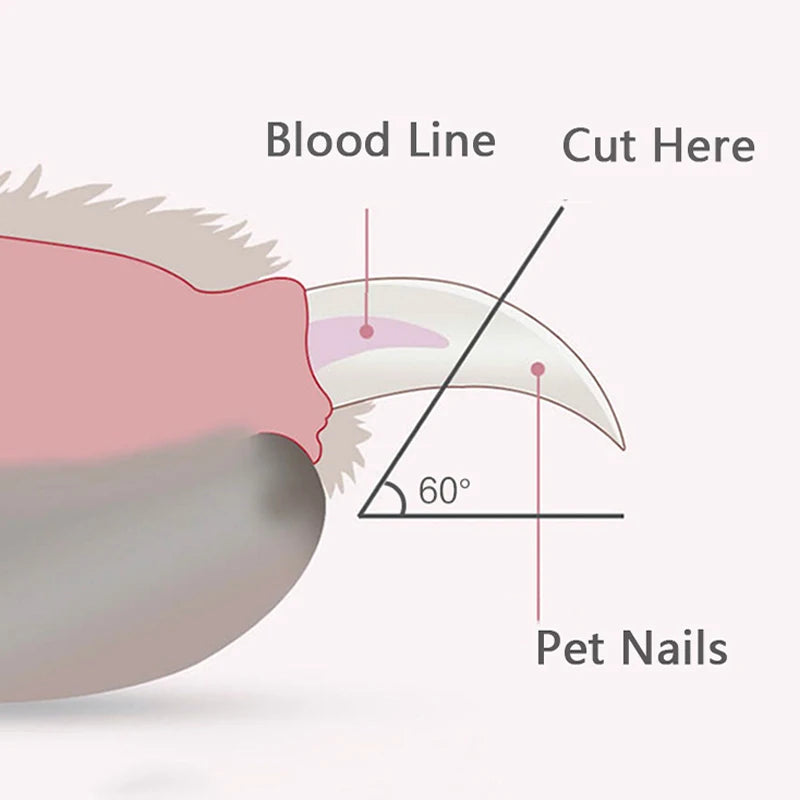 ✂️ LED Pet Nail Clippers – Safe, Precise & Stress-Free Grooming