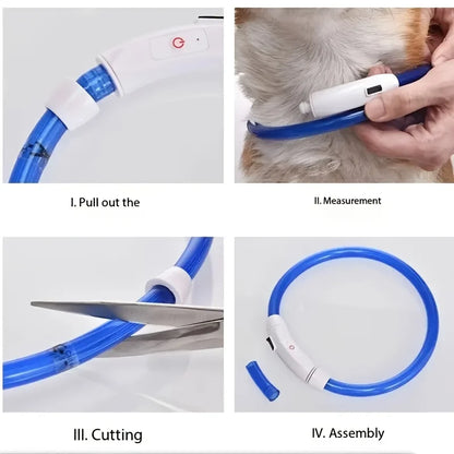 🐶 LED Dog Collar – USB Rechargeable, Waterproof & Adjustable
