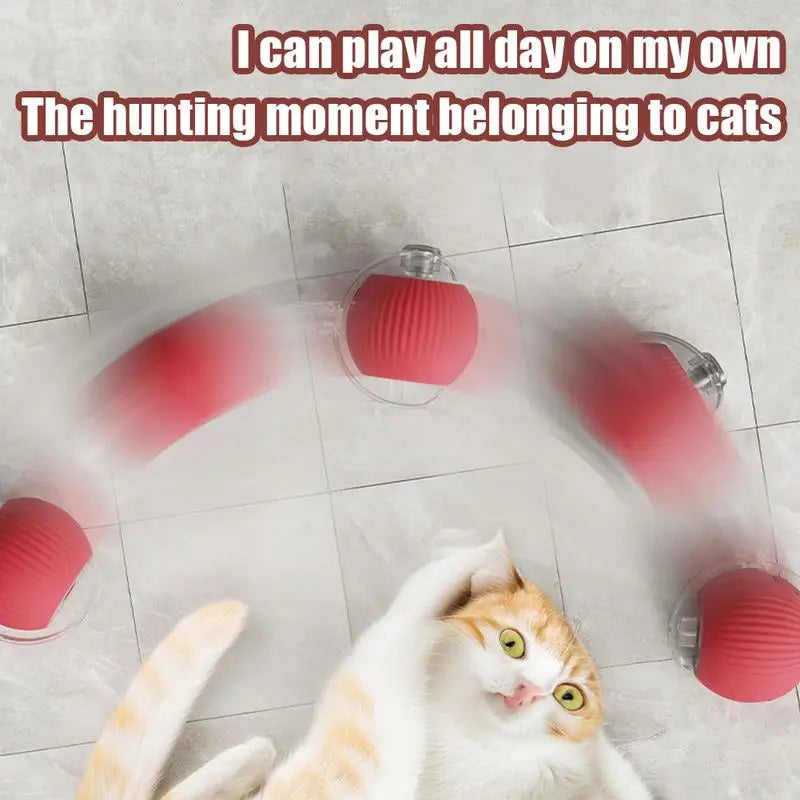 🐾 Fury Tail Cat Motion Ball – Rechargeable, Smart & Reflex-Boosting Toy