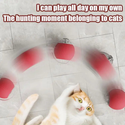 🐾 Fury Tail Cat Motion Ball – Rechargeable, Smart & Reflex-Boosting Toy