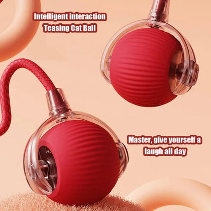 🐾 Fury Tail Cat Motion Ball – Rechargeable, Smart & Reflex-Boosting Toy