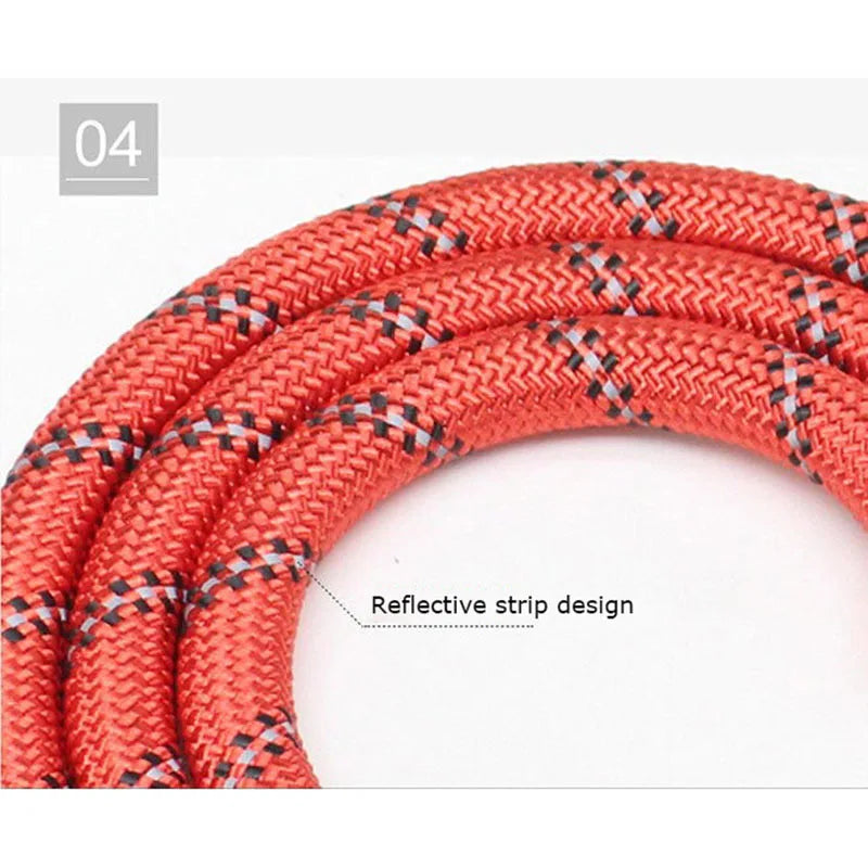 🐶 Reflective Dog Leash – Heavy-Duty & Padded Handle