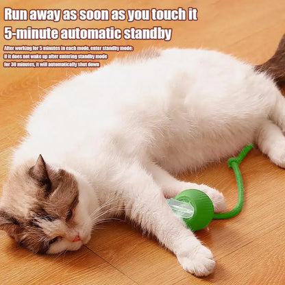 🐾 Fury Tail Cat Motion Ball – Rechargeable, Smart & Reflex-Boosting Toy